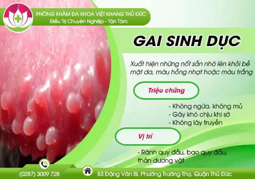benh-gai-sinh-duc-va-cach-dieu-tri-hieu-qua-229
