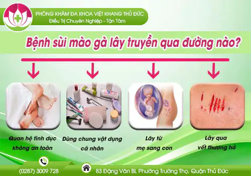 benh-sui-mao-ga-lay-truyen-qua-duong-nao-431