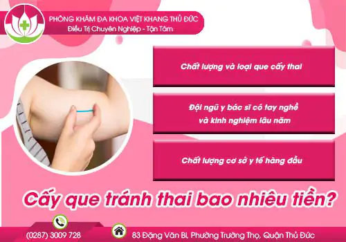 cay-que-tranh-thai-bao-nhieu-tien-va-cay-nhu-the-nao-354