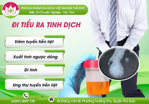 Việt Khang Thủ Đức