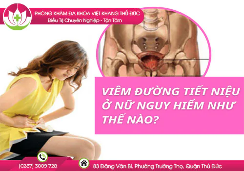 dau-hieu-canh-bao-bi-viem-duong-tiet-nieu-o-nu-83
