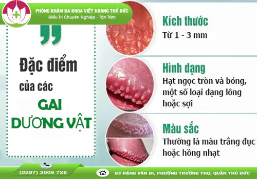 benh-gai-duong-vat-nguyen-nhan-trieu-chung-va-cach-dieu-tri-1718