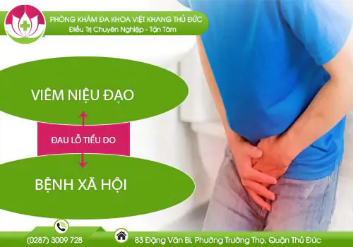 dau-lo-tieu-la-dau-hieu-cua-benh-gi-va-cach-dieu-tri-617