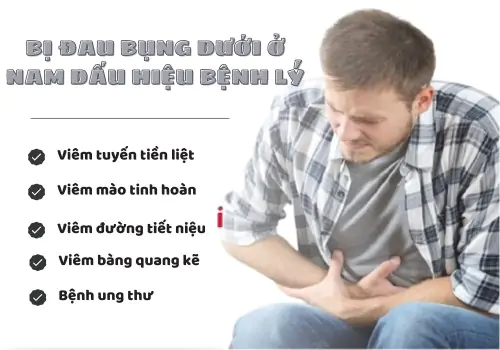 Bị đau bụng dưới ở nam dấu hiệu bệnh lý cần gặp bác sĩ