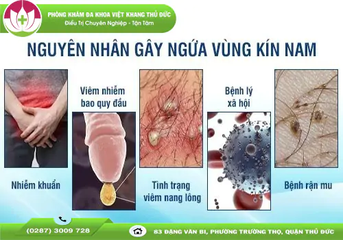 bi-ngua-vung-kin-nam-gioi-la-bi-gi-1461