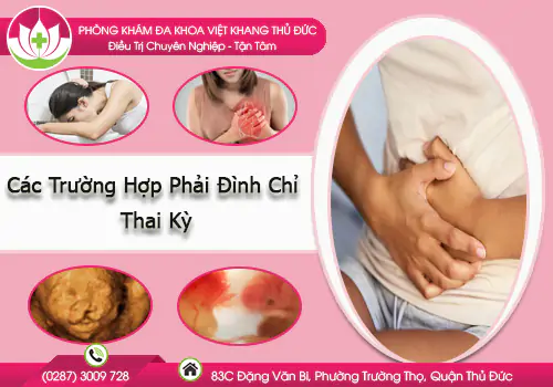 cac-truong-hop-phai-dinh-chi-thai-ky-931