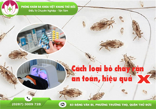 Việt Khang Thủ Đức