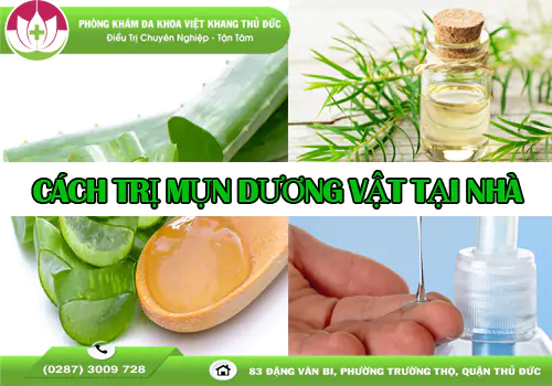 cach-tri-mun-duong-vat-tai-nha-ho-tro-giam-trieu-chung-benh-2064