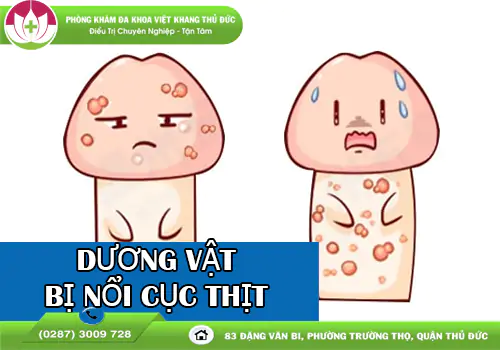 canh-bao-duong-vat-bi-noi-cuc-thit-dau-hieu-benh-ly-nguy-hiem-1684