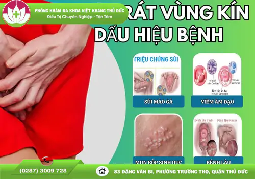 canh-bao-ngua-rat-vung-kin-dau-hieu-benh-xa-hoi-nguy-hiem-1319