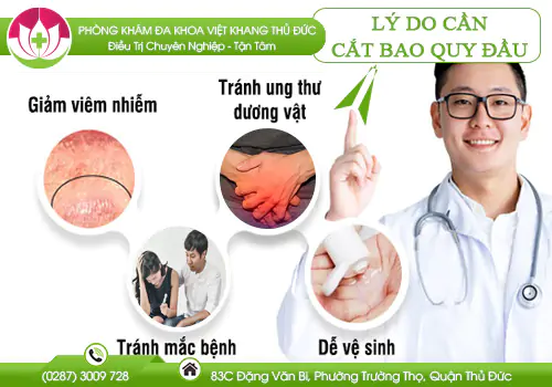 cat-bao-quy-dau-de-lam-gi-837