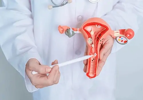 Đau bụng dưới cũng là dấu hiệu điển hình của bệnh viêm cổ tử cung
