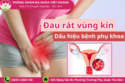 canh-bao-dau-hieu-dau-rat-vung-kin-khong-nen-chu-quan-1497