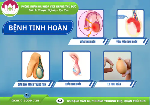 diem-danh-nhung-benh-duong-vat-pho-bien-va-cach-dieu-tri-an-toan-2091