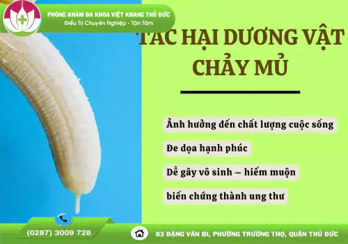 duong-vat-bi-chay-mu-co-nguy-hiem-khong-1317