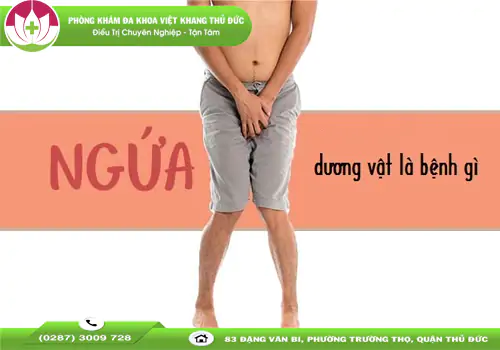 duong-vat-bi-ngua-dau-hieu-benh-gi-1576