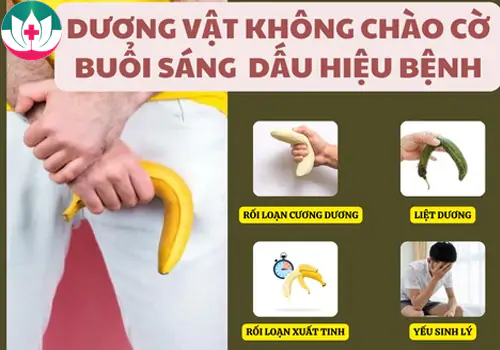 Dương vật không chào cờ buổi sáng có sao không?
