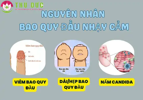 lam-sao-de-bao-quy-dau-bot-nhay-cam-1252