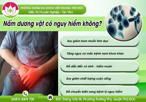 nam-duong-vat-co-nguy-hiem-khong-185