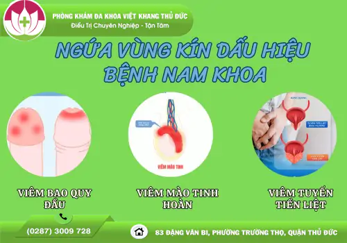 ngua-vung-kin-nam-la-dau-hieu-benh-gi-1310