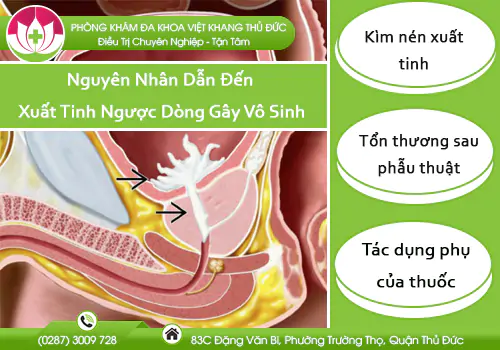 nguyen-nhan-dan-den-xuat-tinh-nguoc-dong-gay-vo-sinh-1026