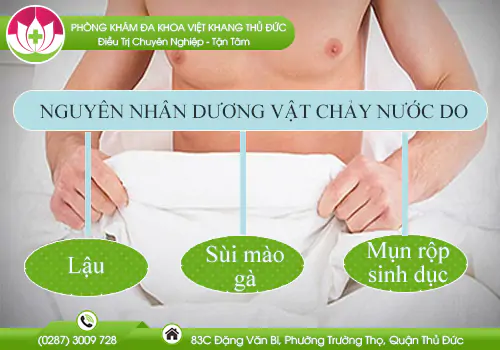 tai-sao-duong-vat-lai-chay-nuoc-co-nguy-hiem-khong-718