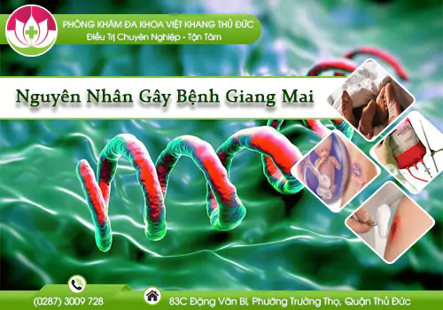 nguyen-nhan-gay-benh-giang-mai-1033