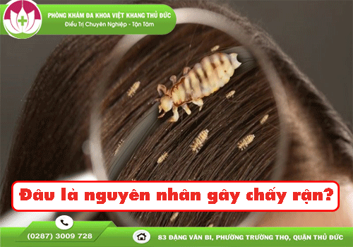 Việt Khang Thủ Đức