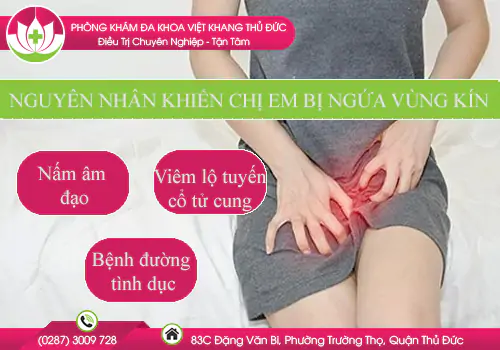 nguyen-nhan-nao-khien-chi-em-bi-ngua-vung-kin-va-phai-lam-sao-de-het-ngua-599