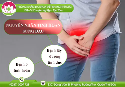nguyen-nhan-tinh-hoan-sung-dau-810