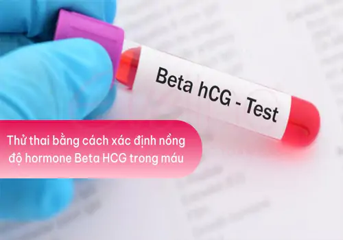 Việt Khang Thủ Đức