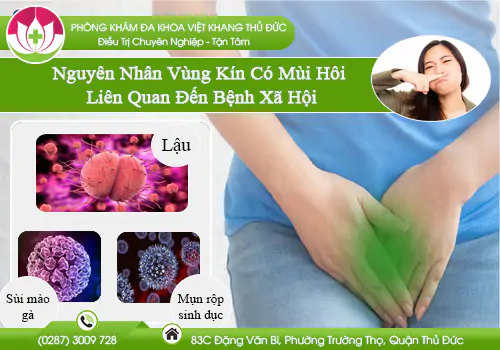 vung-kin-co-mui-hoi-lien-quan-den-benh-xa-hoi-nguyen-nhan-do-dau-va-cach-khac-phuc-838