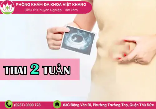 pha-thai-2-tuan-co-pha-duoc-khong-cach-thuc-hien-an-toan-1985