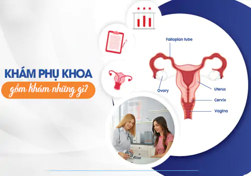 Khám phụ khoa là khám những gì và lưu ý gì?