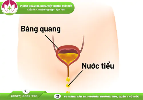 ri-nuoc-tieu-dau-hieu-cho-xem-thuong-1510