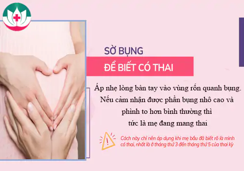 so-bung-the-nao-biet-co-thai-1195