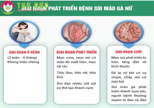 Việt Khang Thủ Đức