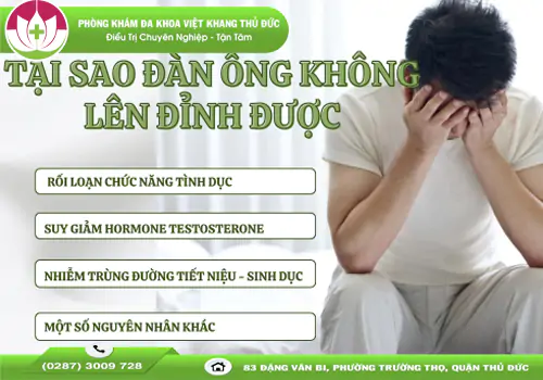 tai-sao-dan-ong-khong-len-dinh-duoc-va-cach-khac-phuc-1724