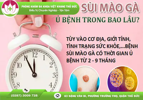 thoi-gian-u-benh-sui-mao-ga-o-nu-bao-lau-thi-phat-benh-2088