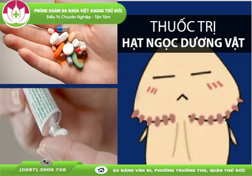 thuoc-chua-hat-ngoc-duong-vat-tai-nha-an-toan-2067