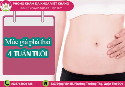 tim-hieu-muc-gia-pha-thai-4-tuan-va-phuong-phap-an-toan-1436