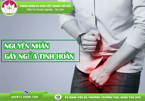 tim-hieu-nguyen-nhan-gay-ngua-tinh-hoan-va-cach-dieu-tri-1578
