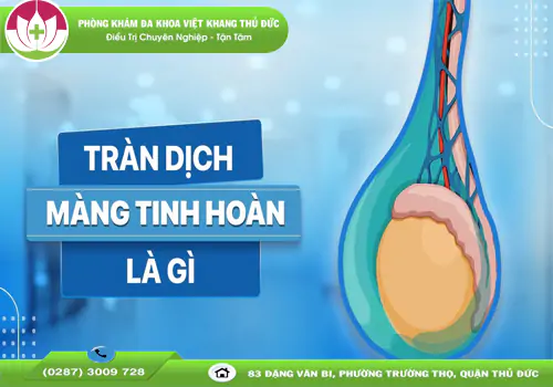 tran-dich-mang-tinh-hoan-nguyen-nhan-dau-hieu-va-cach-dieu-tri-1952