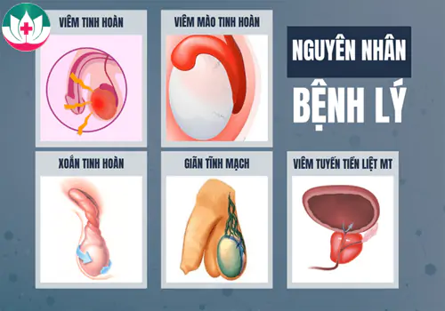 truy-tim-thu-pham-gay-dau-tinh-hoan-1176