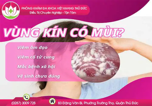 ly-do-khien-vung-kin-co-mui-hoi-kho-chiu-249