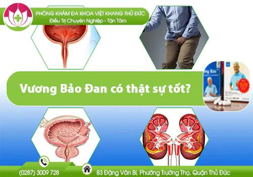 vuong-bao-dan-co-that-su-tot-750